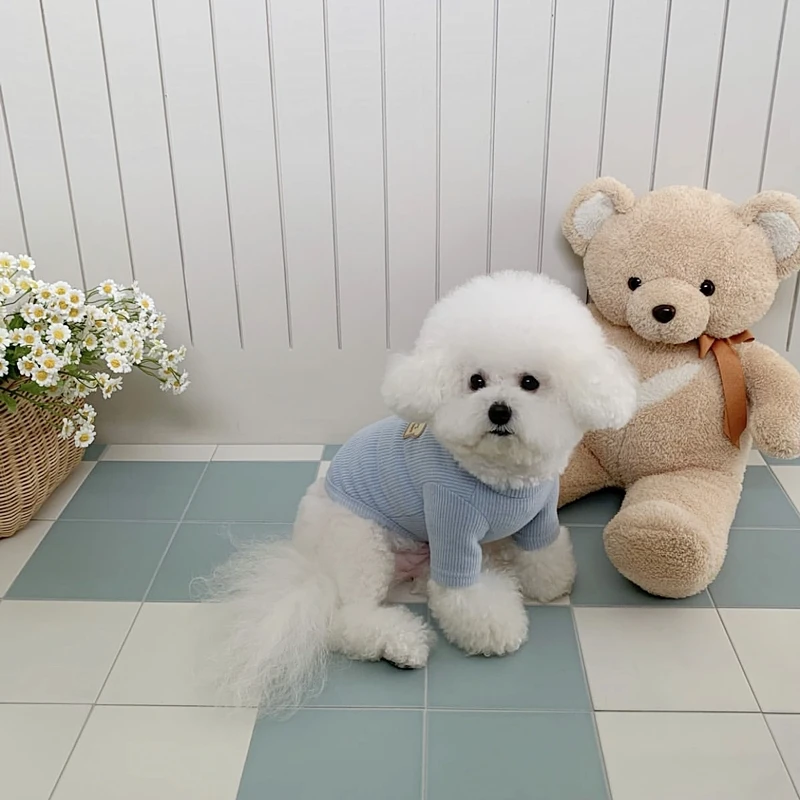 Pet Bottom Shirt Autumn Dog Clothes Teddy Warm Pullover Bikini Winter Vest Poodle Solid Colour Two Legs Clothes