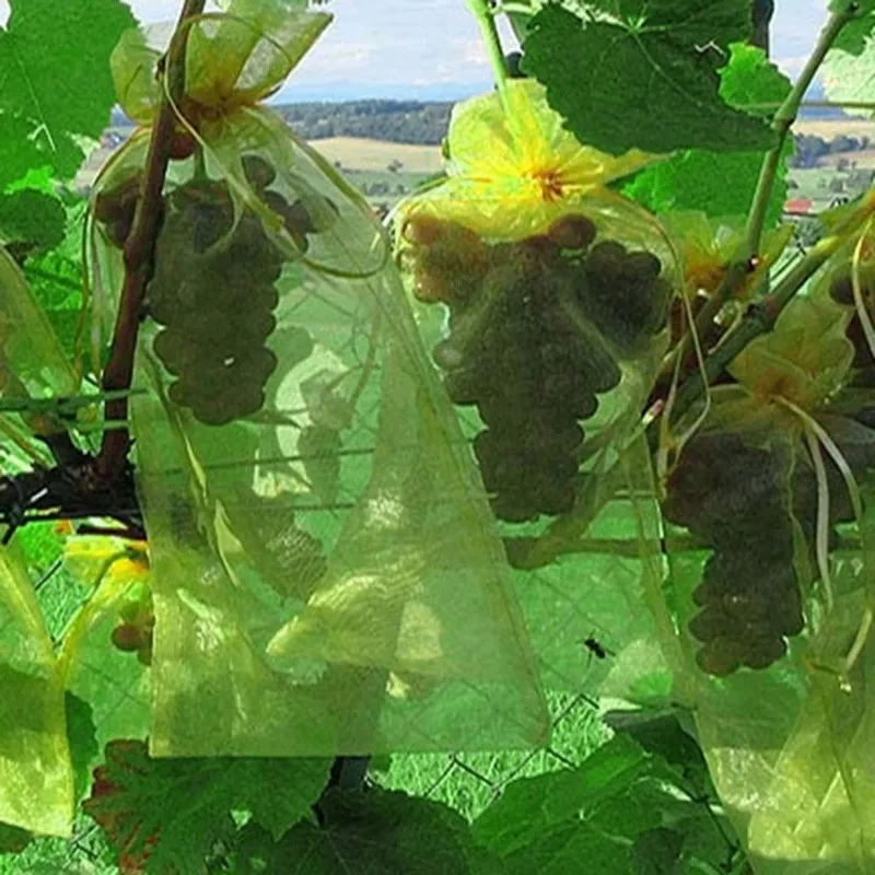 50pcs Reusable Transparent Fruit Protection Bags with Drawstring Closure,Breathable Orchard Net Protector,Insect Proof Mesh Bag