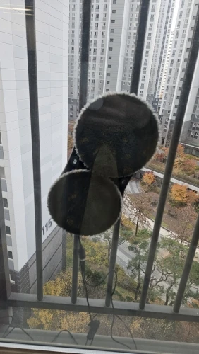 리뷰 사진
