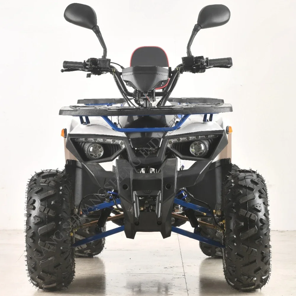 110cc/125cc Atv and Quad Bike for Child Safety Suitable for Kids Off-road