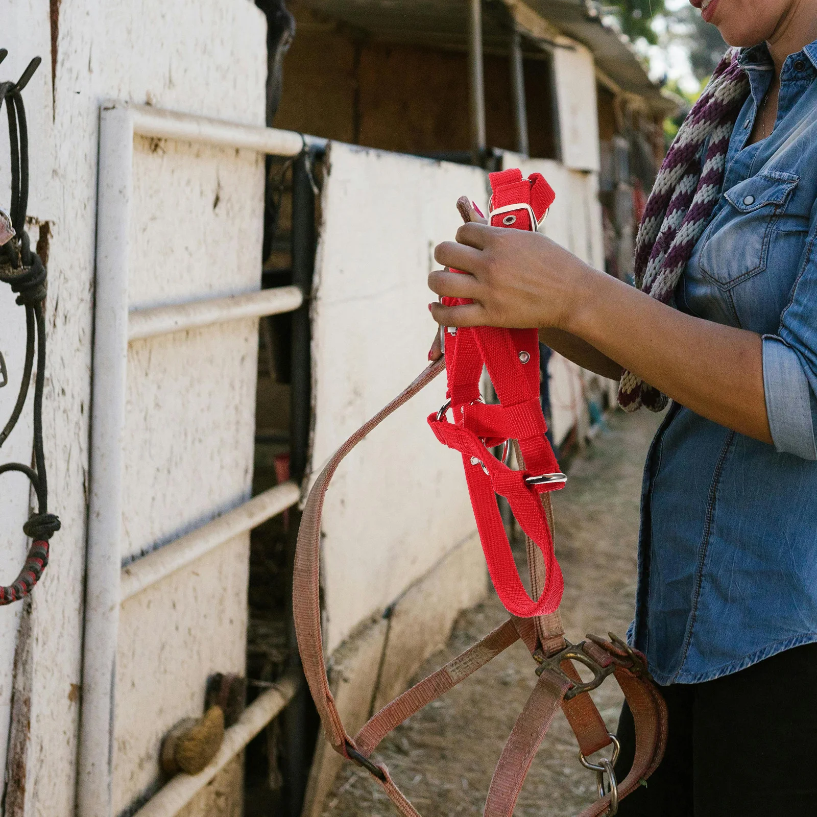 مجموعة حبل رسن مبطن مريح لتدريب الفروسية، مشبك حصان الفروسية قابل للتعديل من النايلون قابل للتعديل