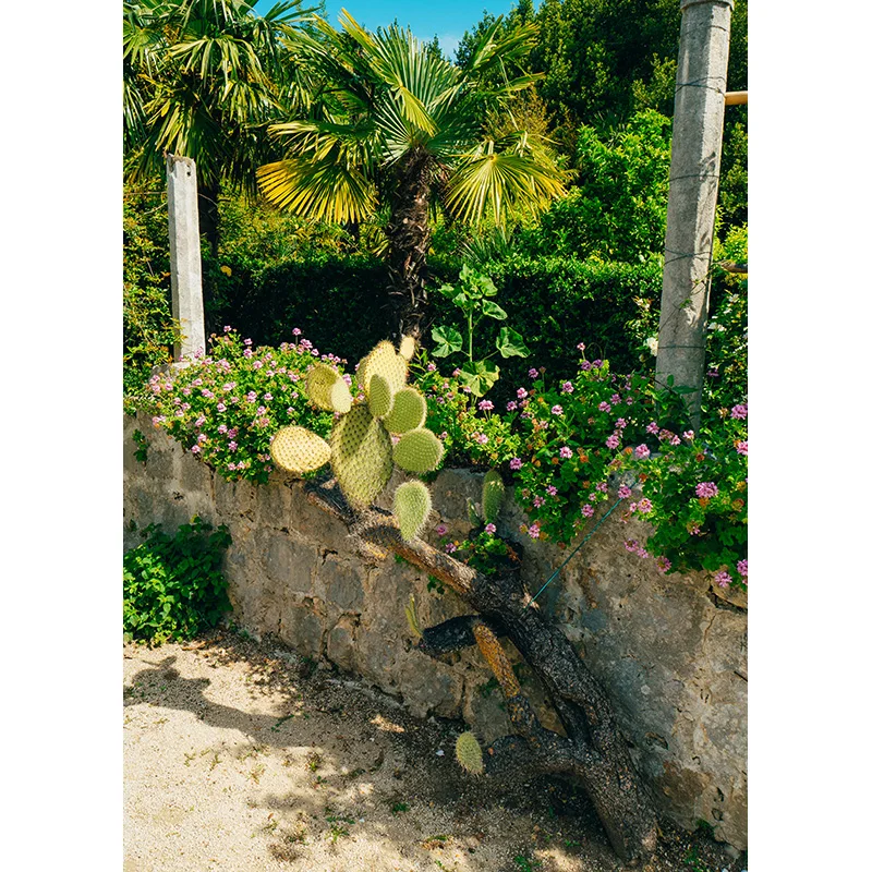 Lễ Cưới Chụp Ảnh Phông Nền Hoa Sinh Nhật Đính Hôn Đảng Chân Dung Nền Cho Studio Ảnh Trang Trí 210410HKW-01