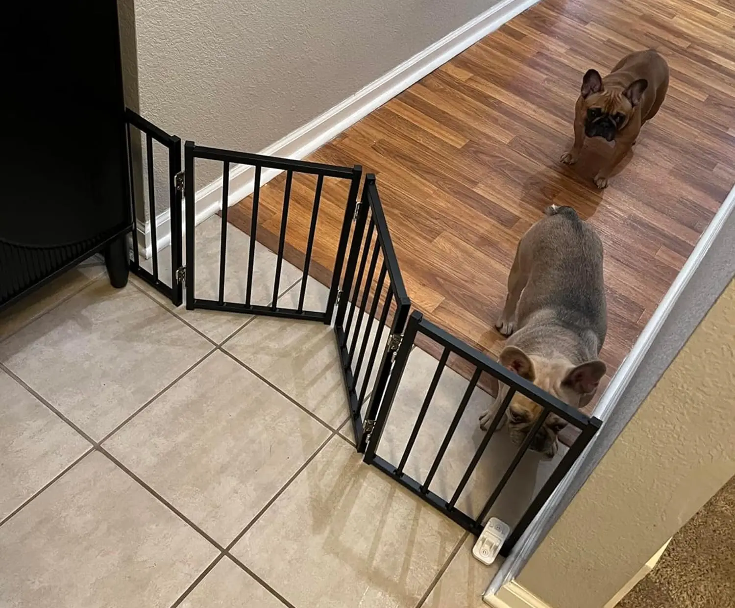 

Складная перегородка для домашних животных для маленьких собак, высота 16,5 дюймов, без необходимости сверления, для использования в помещении/на улице, черная