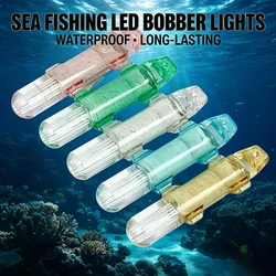 Luz LED portátil para calamares: señuelos con luz nocturna