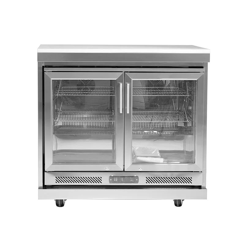 Factory WholeSale High Quality Stainless Steel 115L Two Single Door Refrigerator Storage Cabinet