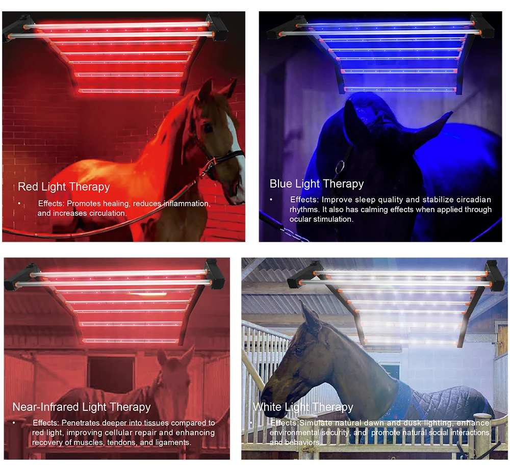 Hot-selling/Animal Use Equine Full Body Led Therapy Bar Light Solarium Red Blue  Therapy Light for Pain Relief Repairing