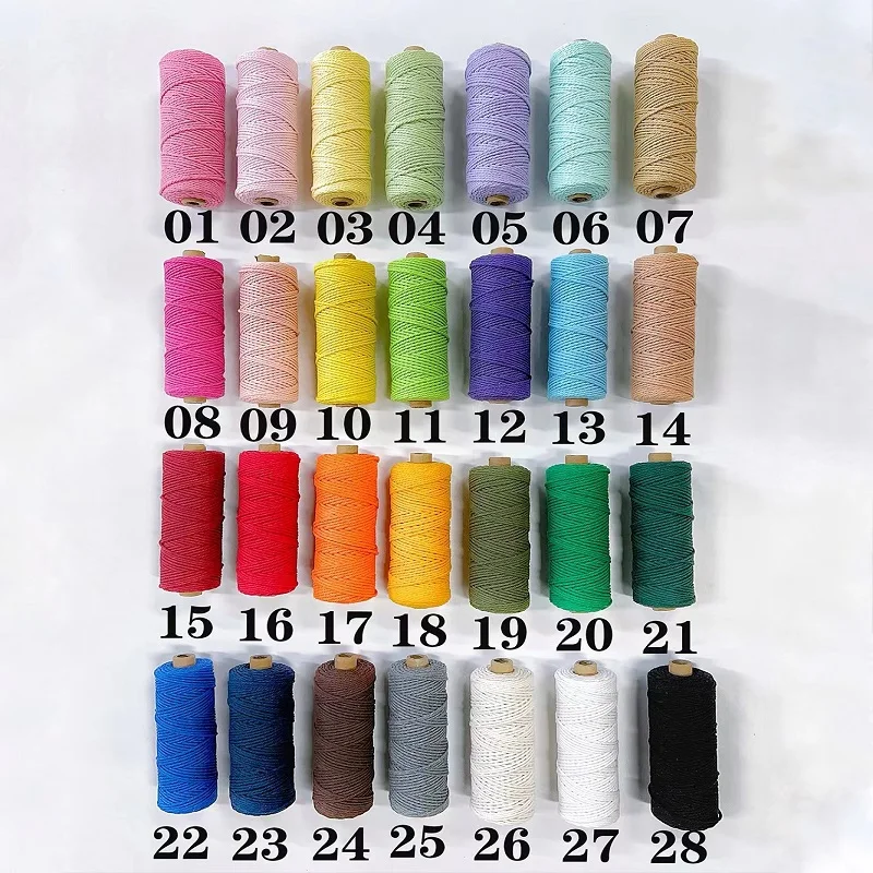 Multicolour 2mm 10Meters Macaroon Cotton Rope Macrame Colorful Thread for Handwork DIY Material Room Wall Hanging Decoration