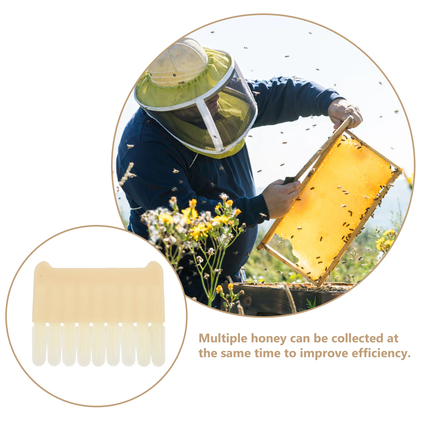 

Royal Jelly Extractor Pen Multi Rows Beekeeping Equipment Apiculture Supplies Honey Scrape Tool Efficient Comb Extracting