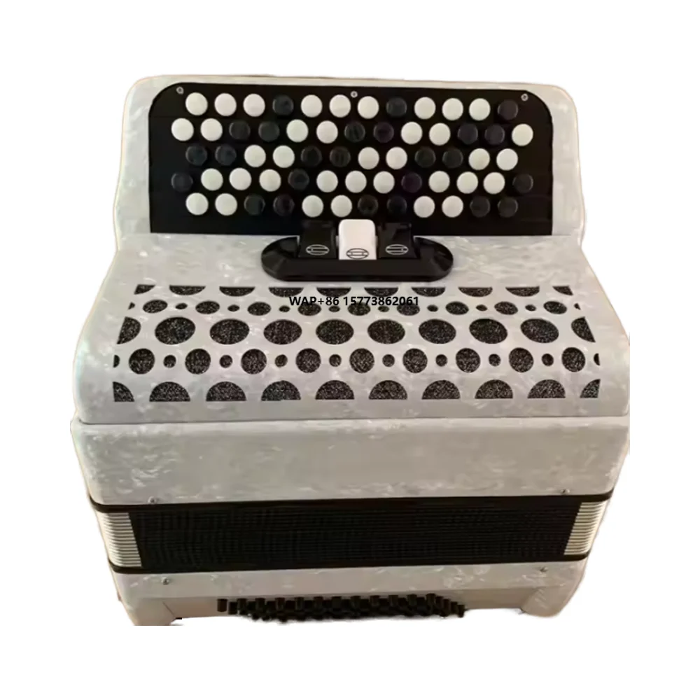 

Professional 120 Bass Button Accordion for Adults and Children Chromatic and Diatonic Wood Accordion