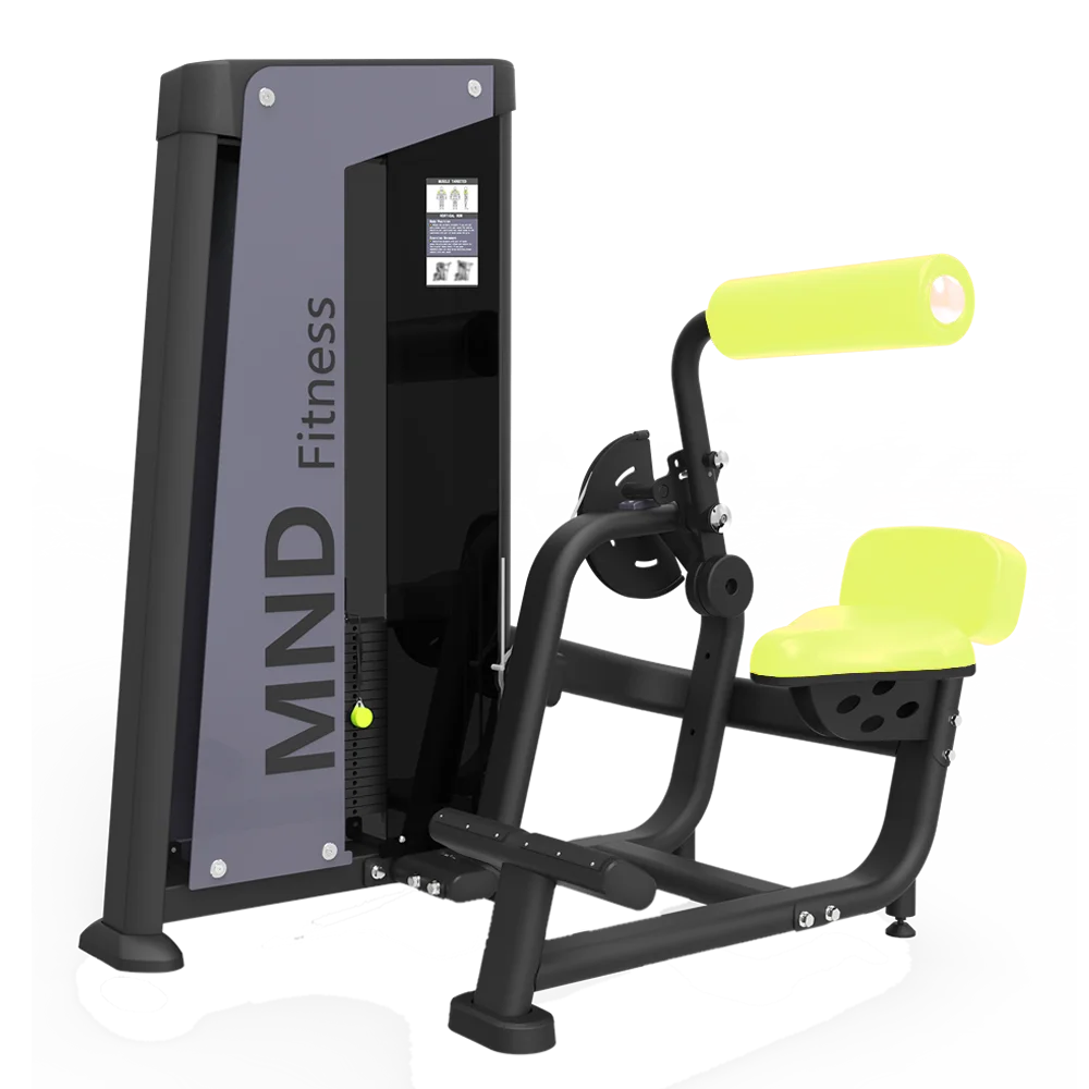Fitness  FITNESS -FH85B Commercial Gym Fitness Equipment Back Extension Machine Abdominal Trainer Exercise