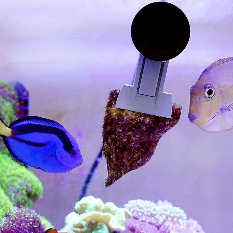 VastOcean Veggie-Mag Feeding Clip Aquarium Fish Tank Strong Magnetic Seaweed Vegetable Clip