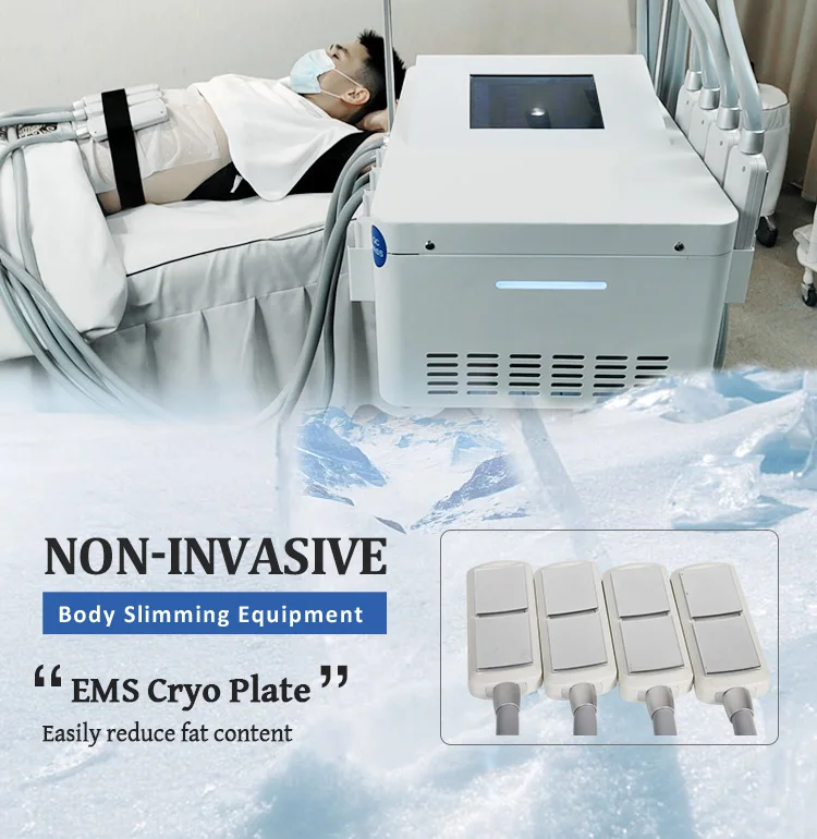 لوحة Cryolipolysis المحمولة EMS ، التخسيس ، تجميد الدهون ، فقدان الوزن ، آلة نحت الجسم النحيف