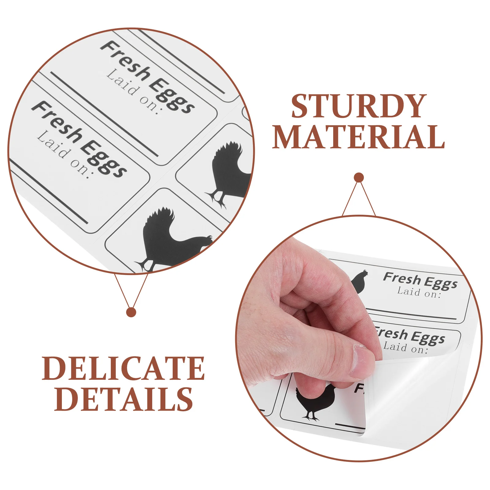 20 fogli Etichette per data in cartone per uova fresche da fattoria Etichette per uova fresche Adesivi per la cura delle uova di sicurezza alimentare con data di produzione scritte a mano