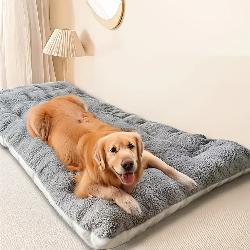 Thumbnail 2 - #81 Latest Puppy Beds Offers