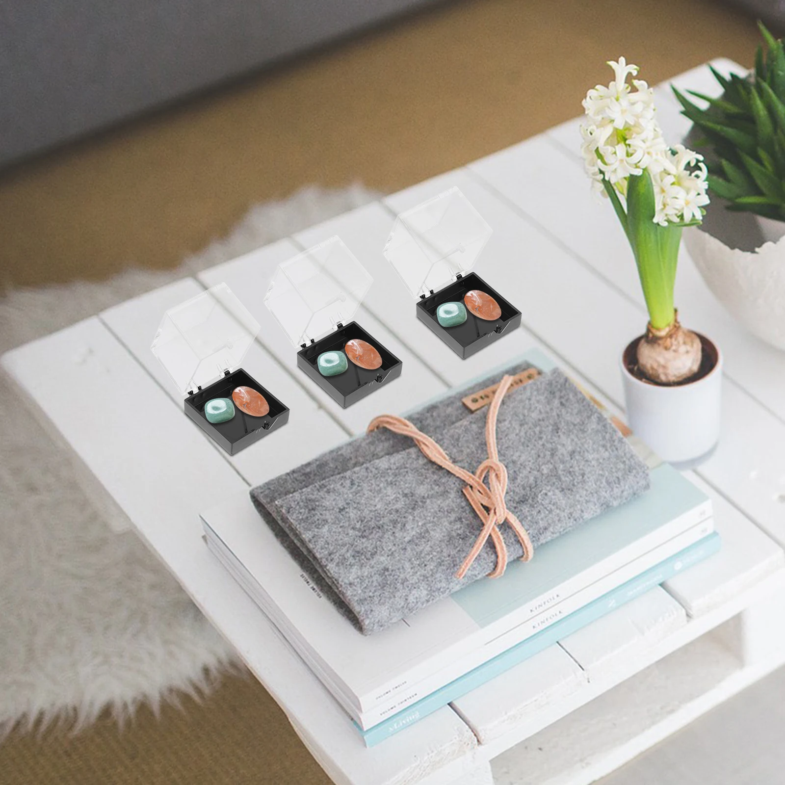 

6 Pcs Specimen Display Box Small Clear Boxes for Rocks and Minerals Containers Stones Crystals Plastic Cube Cabinet