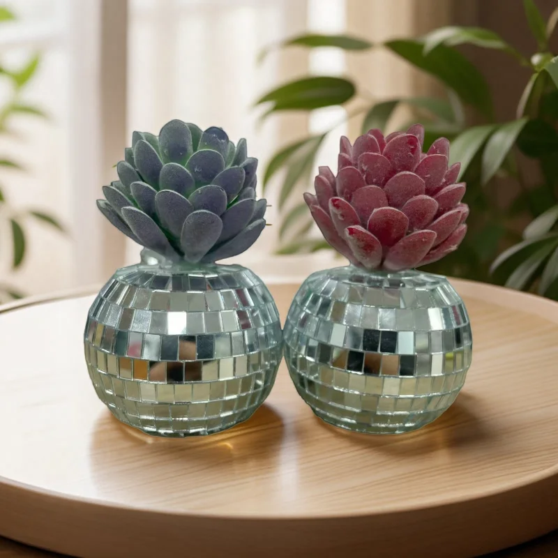 1 Pack of Small Fresh Simulated Succulent Disco Desktop Ornaments Zhaiyue Home Office Ornaments Decoration Valentine's Day Birthday Gift