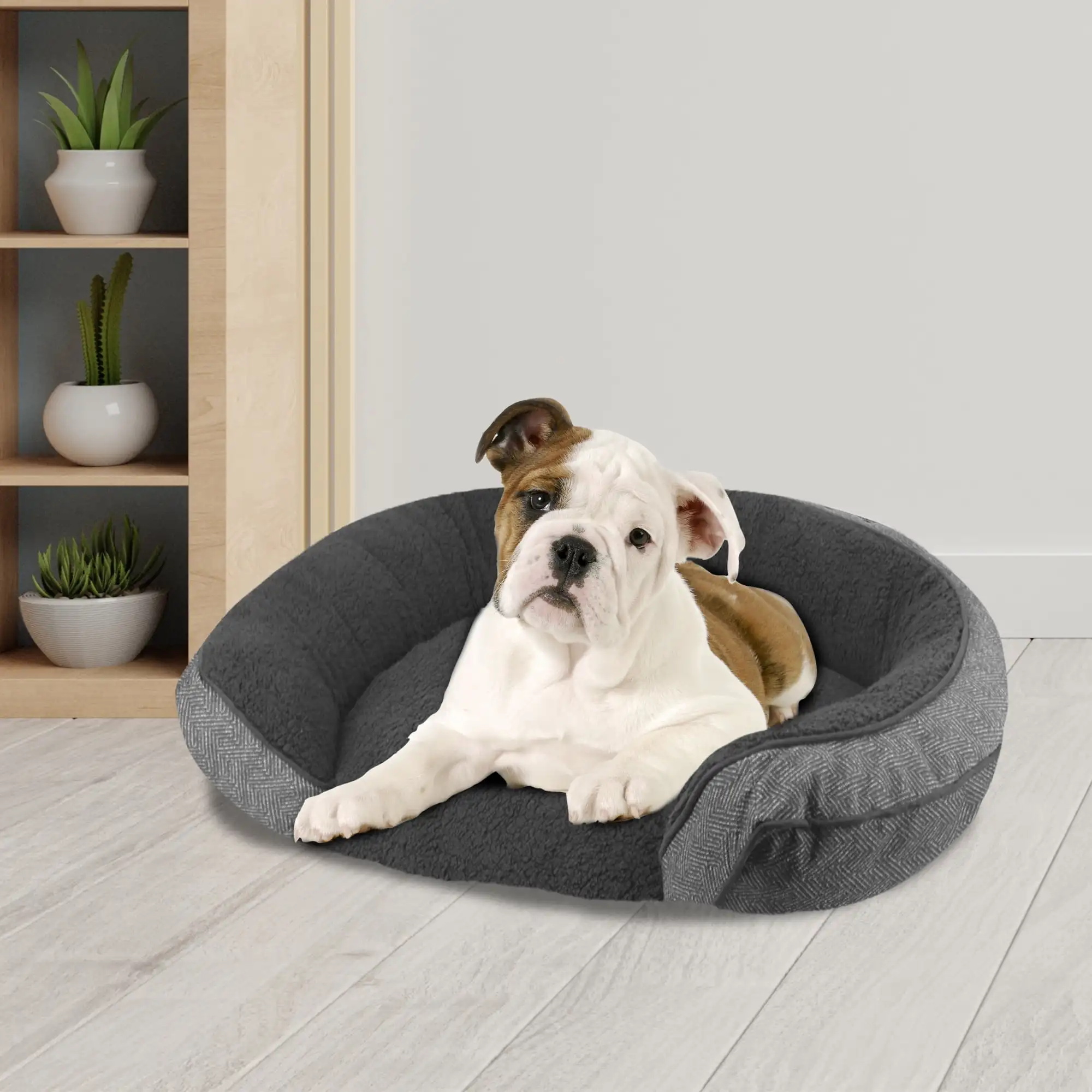 

Arlee Step in Orthopedic Chew Resistant Eco-Friendly Memory Foam Pet Bed