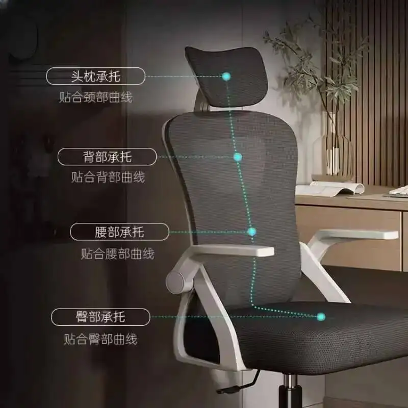 Ergonomics Computer Office Chairs Household Comfort Sedentary Student Backrest Office Chairs Esports Silla Work Furniture QF50OC