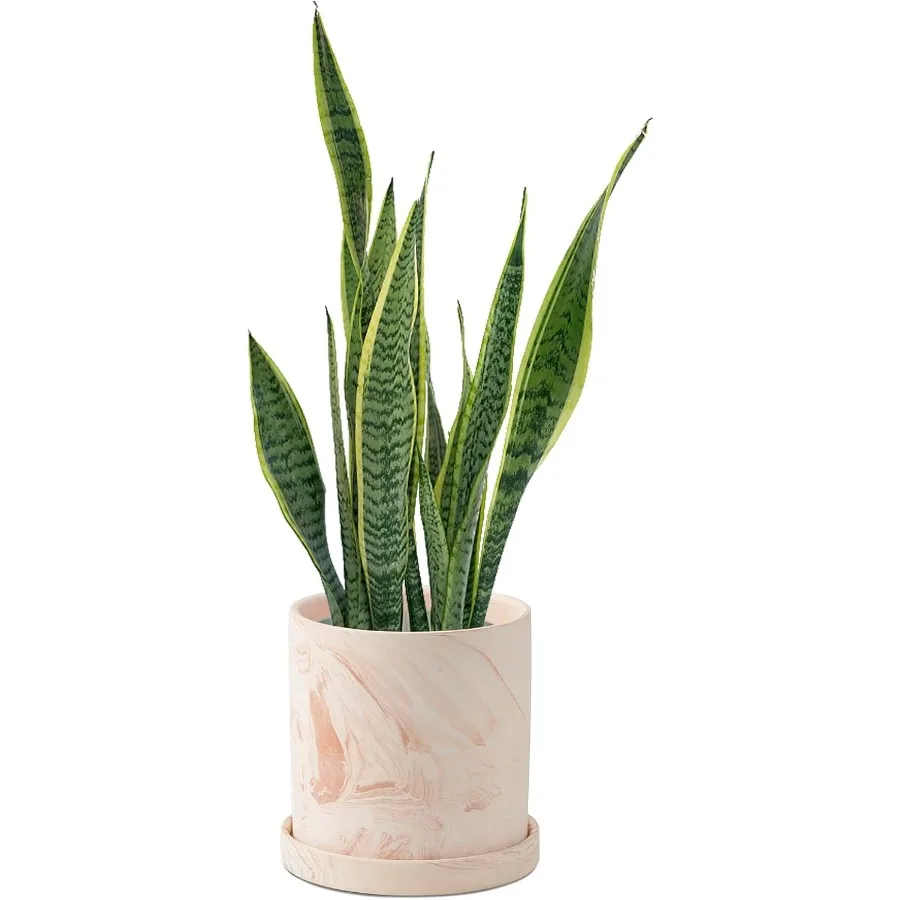 

5 inch Plant Pot Terra Cotta Flower Planters Indoor Modern Succulents Containers with Drain Hole Saucer Drate Home Office Outdo