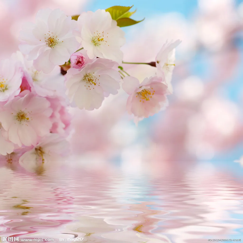 

Aluminum Alloy 1.3 Inch Beadlock Wheel Rim Tire For 1/18 Trx4m Trx4-m Fms24 Axial Scx24 Rc Crawler Car Tire