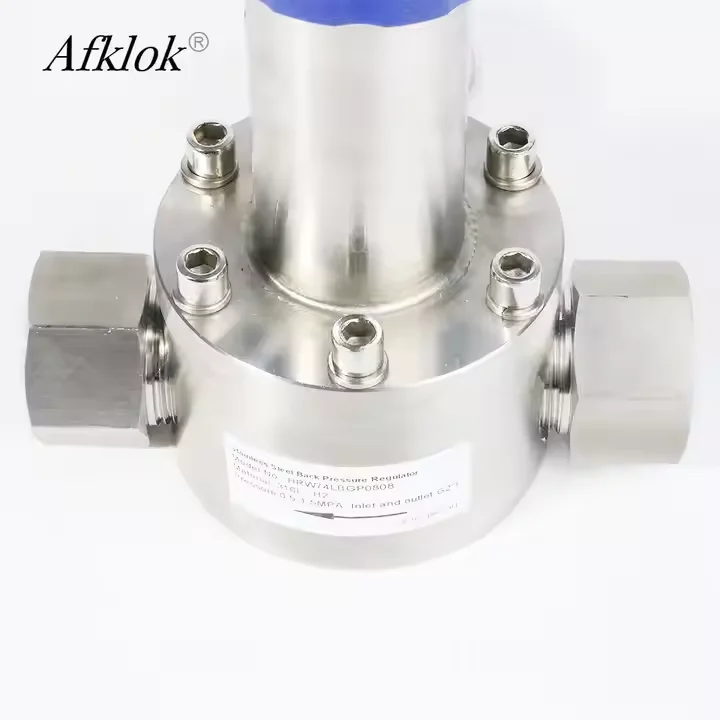 RW74 Stainless Steel Back Pressure Valve for Hydrogen