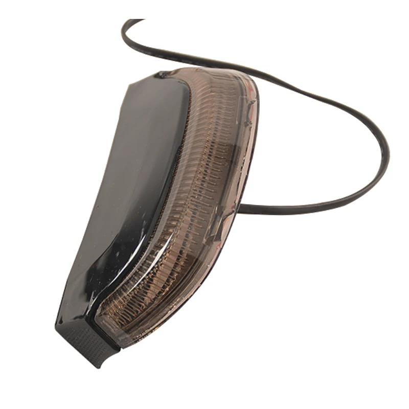 مصباح خلفي LED للدراجة النارية مع إضاءة لدراجة Harley Touring 2014-2023 #5