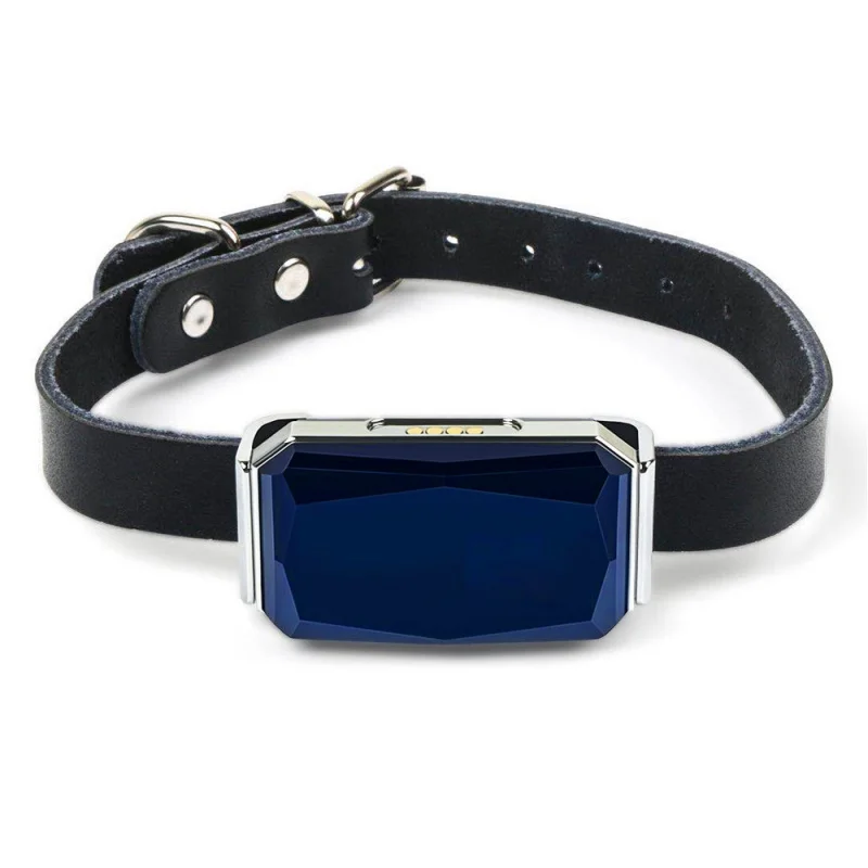 

Waterproof GPS Pet Tracker-Real-Time Tracking Collar with Geo-Fence & LED Light for Cats/Dogs, CE Certified (Free Silicone Cover
