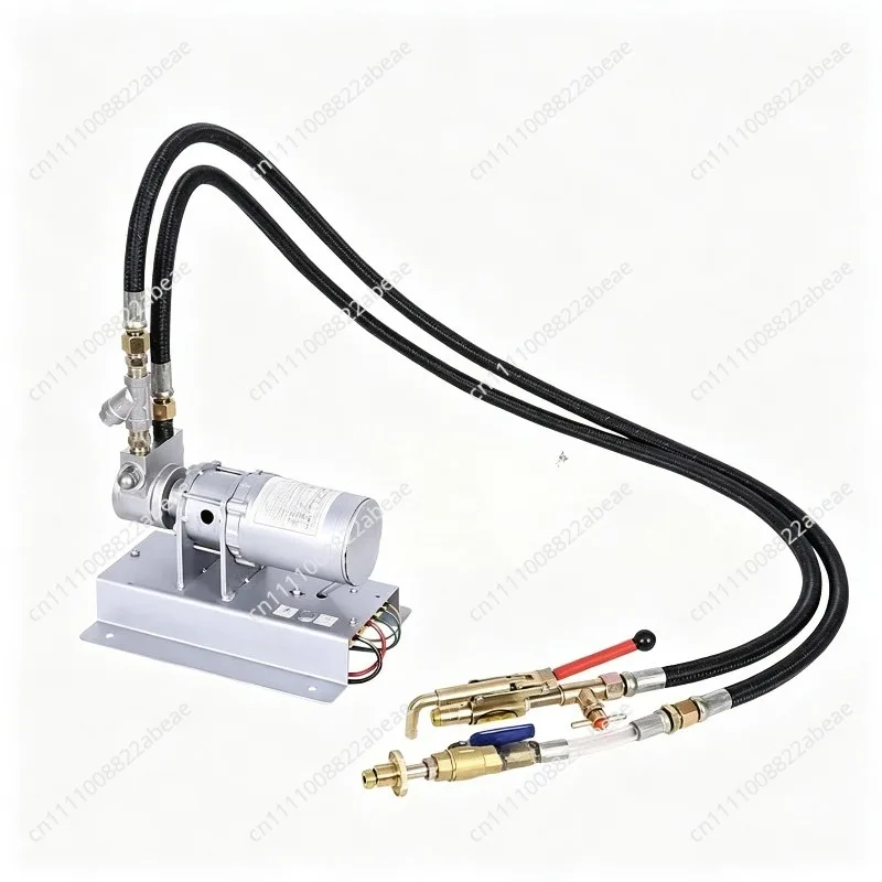 12V Liquefied Gas Air Pump Pour Pump 12 Volts