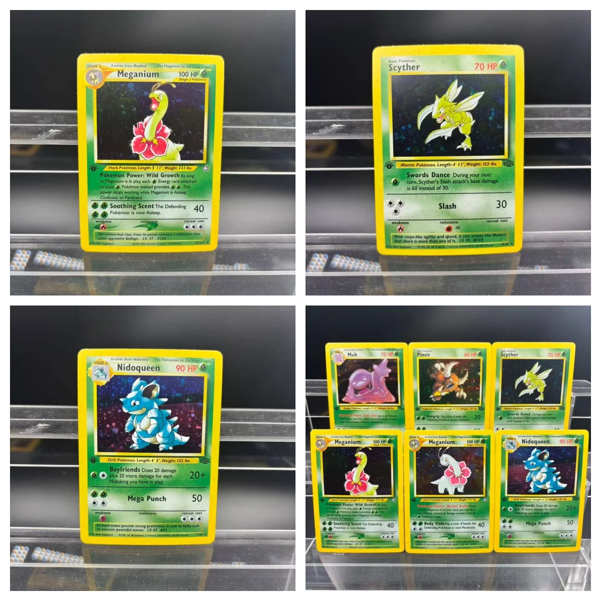 

PTCG Collection Cards DIY 1st Edition Meganium Nidoqueed EN Self Made Single Card Classic Game Anime Card Gift Toy