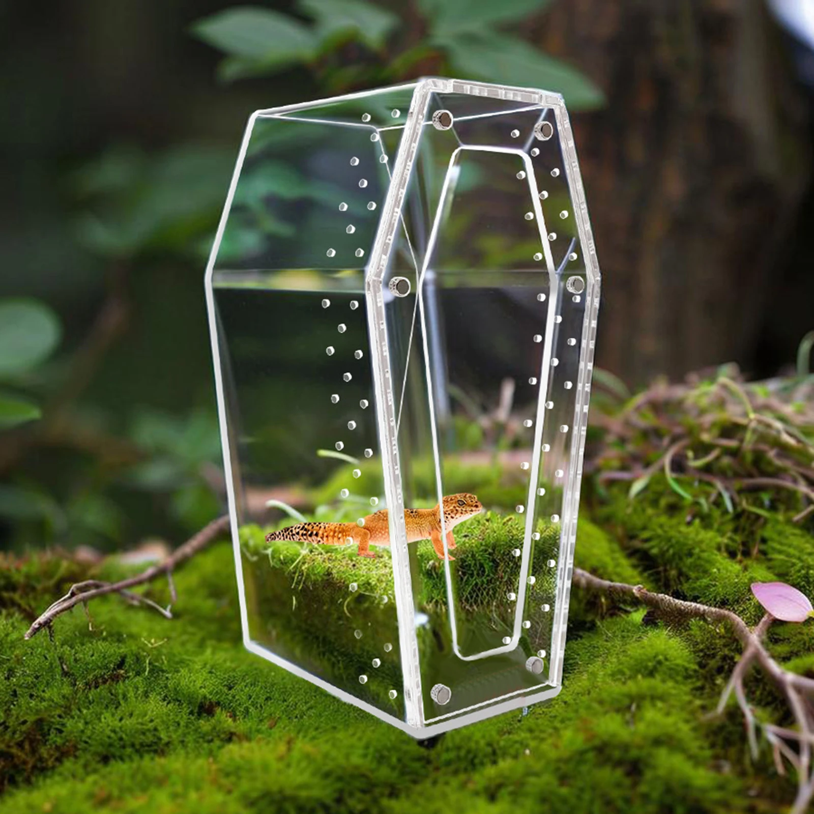 

Acrylic Jumping Spider Enclosure Amphibian Habitat Terrarium with Front Opening Door Tarantula Cage