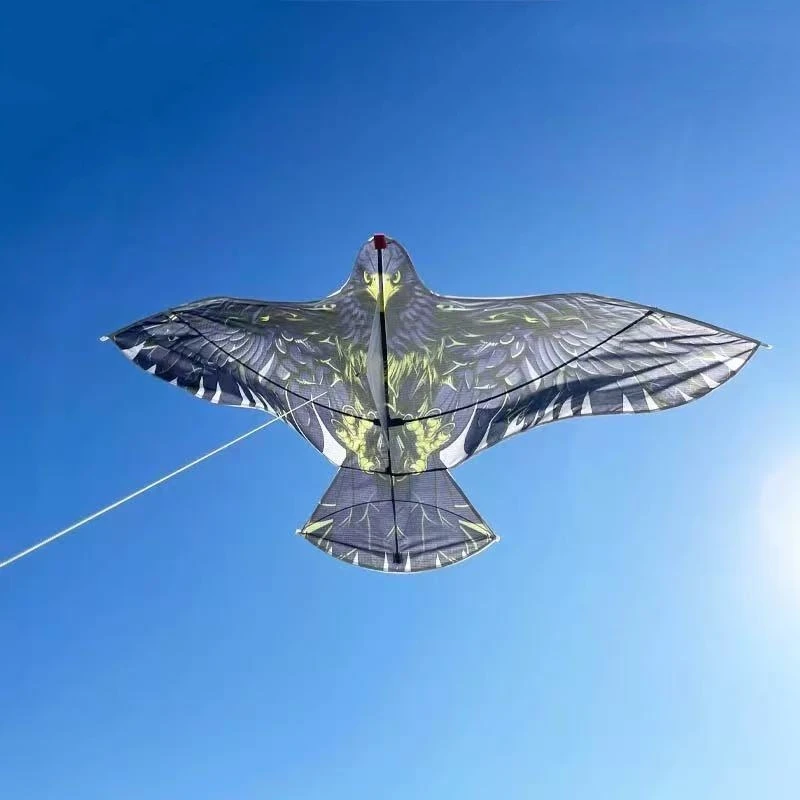 Cometa de águila grande volando para adultos, pipas para jugar al aire libre, cometa de dirección, enrollador de una sola línea, pipa profesional, pipas de pájaros, pipas de serpiente