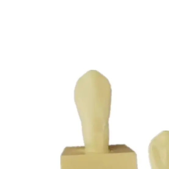 

Dental with Tooth Structure and Practice Tooth Carving Teaching Comparison Model Pit Fissure Caries Dentist Lab Material Tools