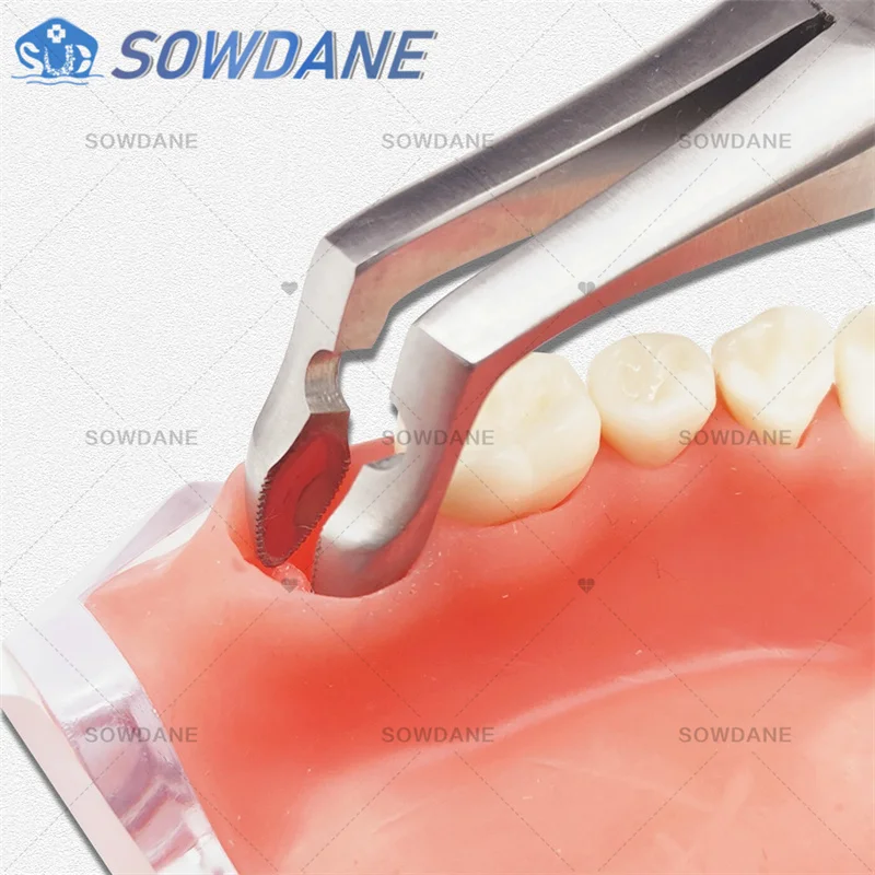 Dental Forcep Root Fragment Minimally Invasive Tooth Extraction Forcep Dental wisdom teeth plier Dental Surgical Instrument Tool