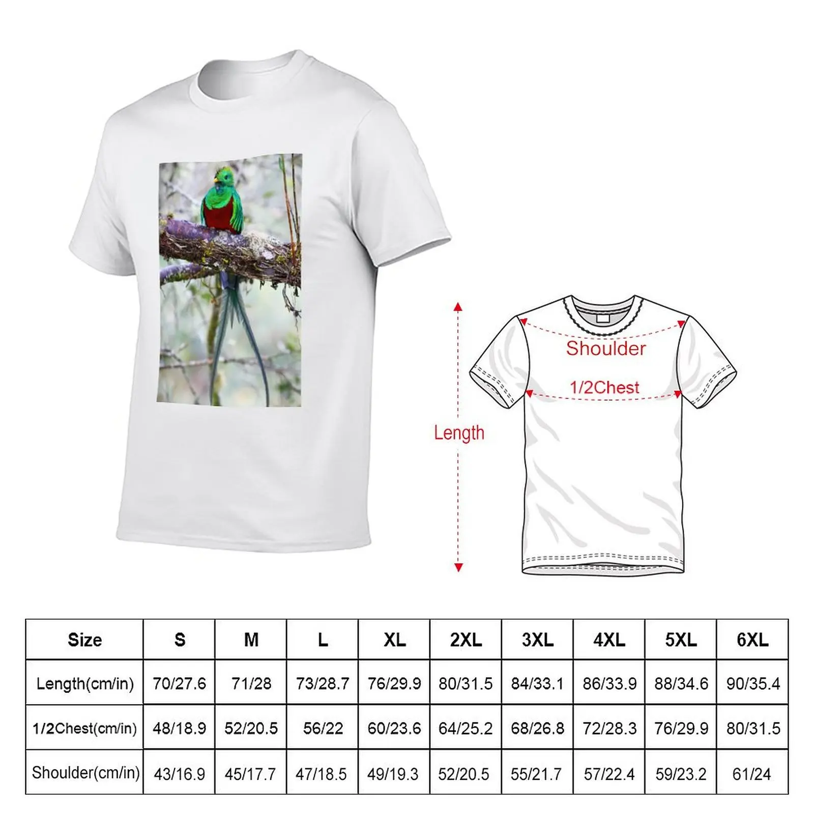 Resplendent Quetzal T-Shirt t shirt personalised black cotton t-shirt plain for man package t shirts for man pack cotton T-Shirt