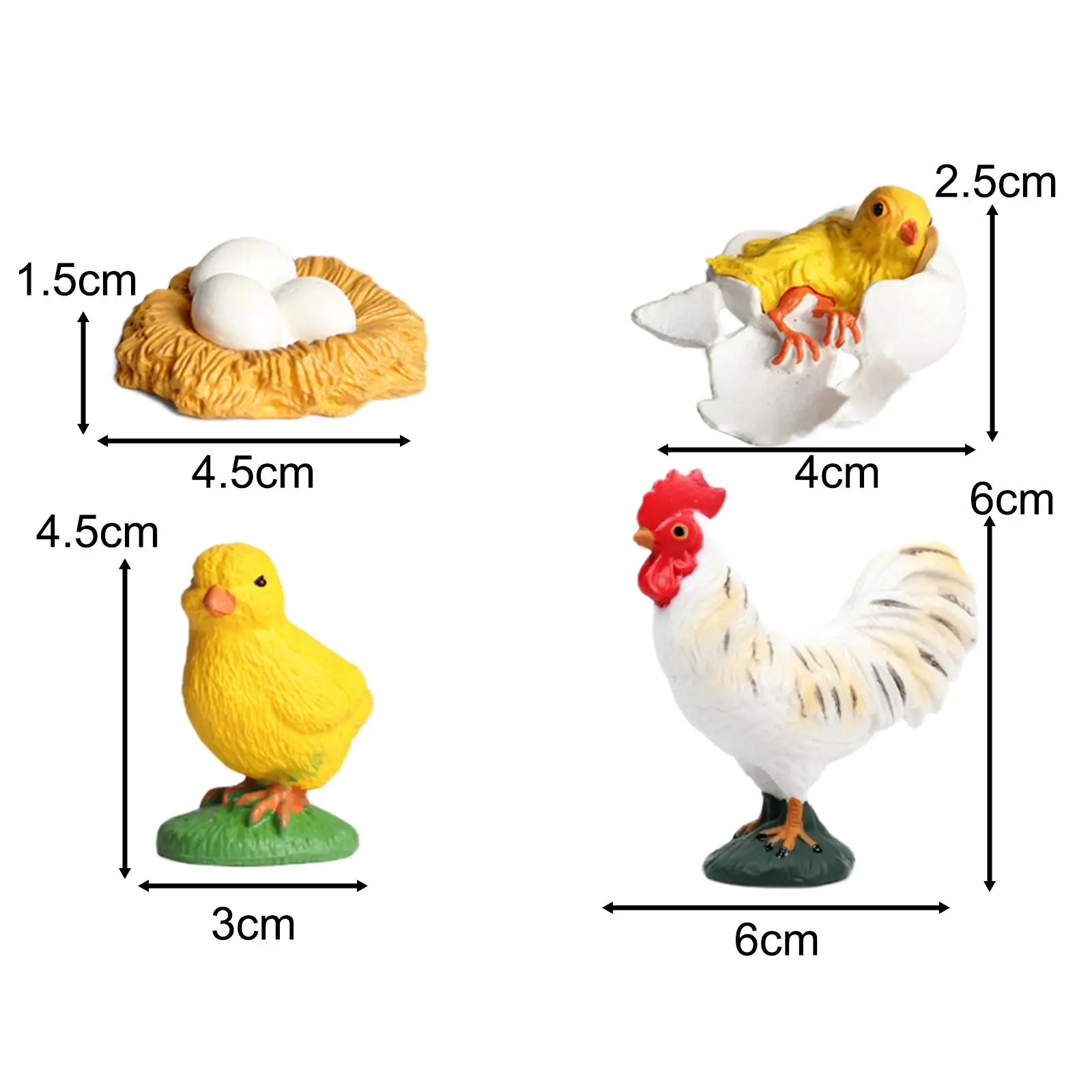 Gallo ciclo di vita Set ciclo di vita figurine di animali biologia simulazione cognitiva animale per ragazze bambini ragazzo bambini piccoli