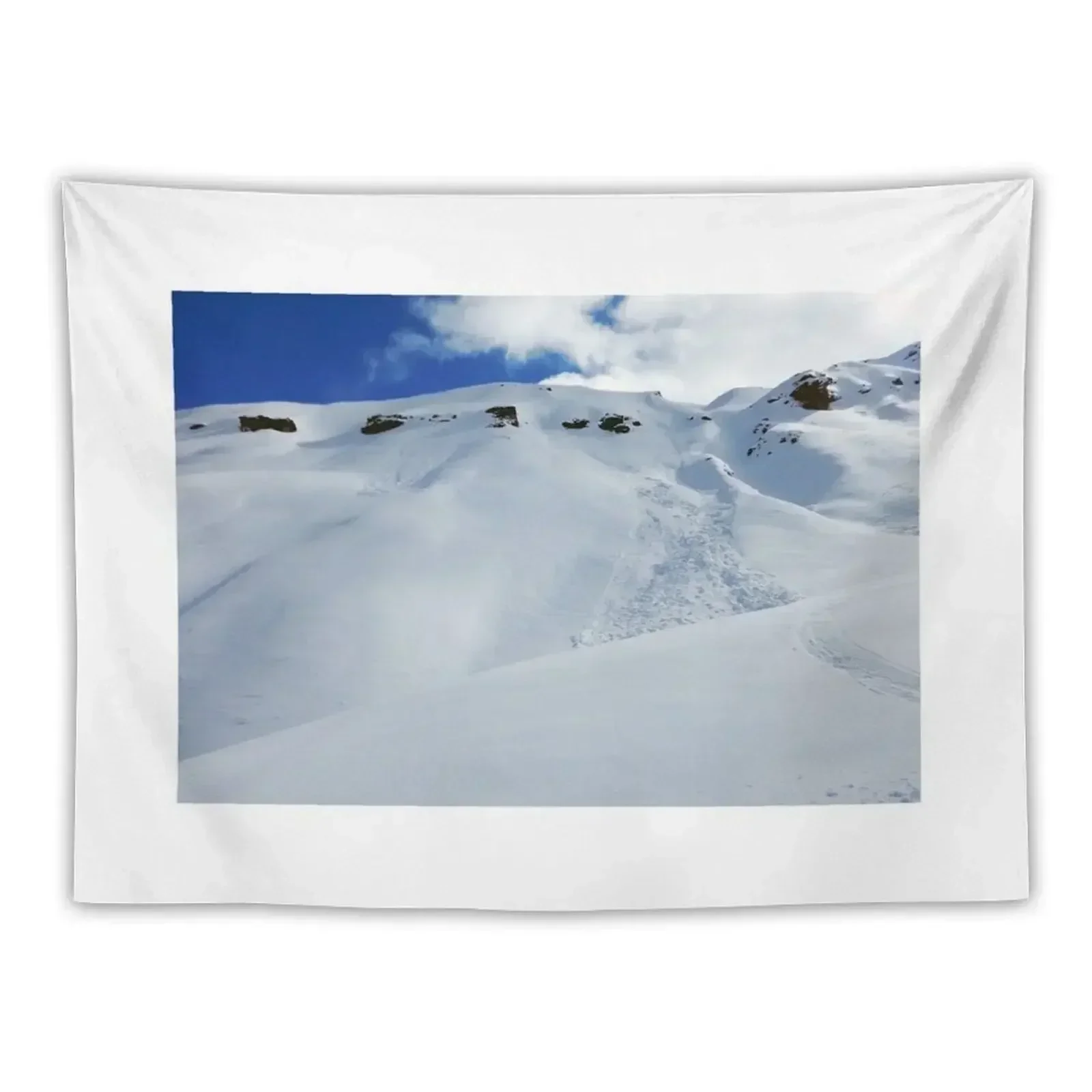 

Backcountry slope II Tapestry Home Decor Aesthetic Wall Mural Tapestry