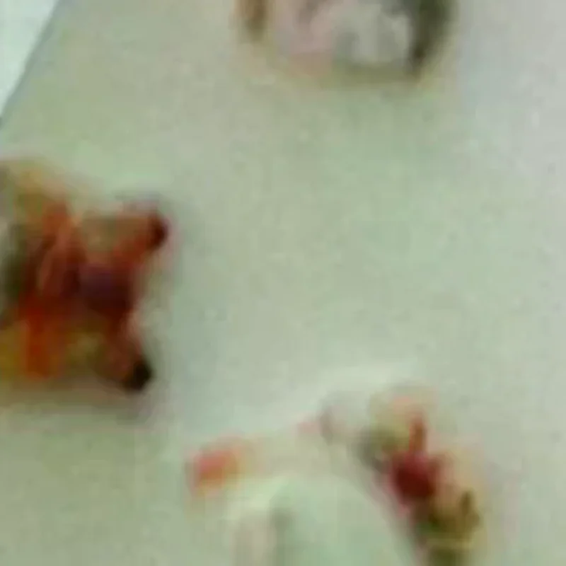 20PCS New Year Cute Lion Dance Nail Art Decor Stereoscopic Mixed Loading Decoration Nail Patches