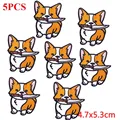 PE6619CT
