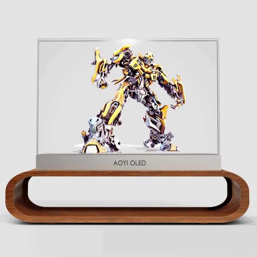 

New Technique 55 Inch Touch HDMI Input Oled Transparent Glass Screen