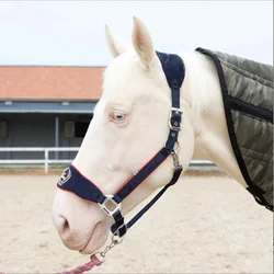 Halter en plomb doublé polaire, fournitures de cheval