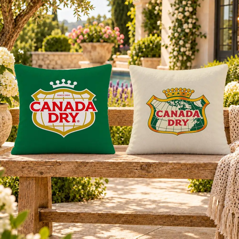 Drink Ginger Ale Canada Dry Cushion Cover Soft Plush Throw Pillow Cover Washable Sofa Bed Patio Chair Home Decor