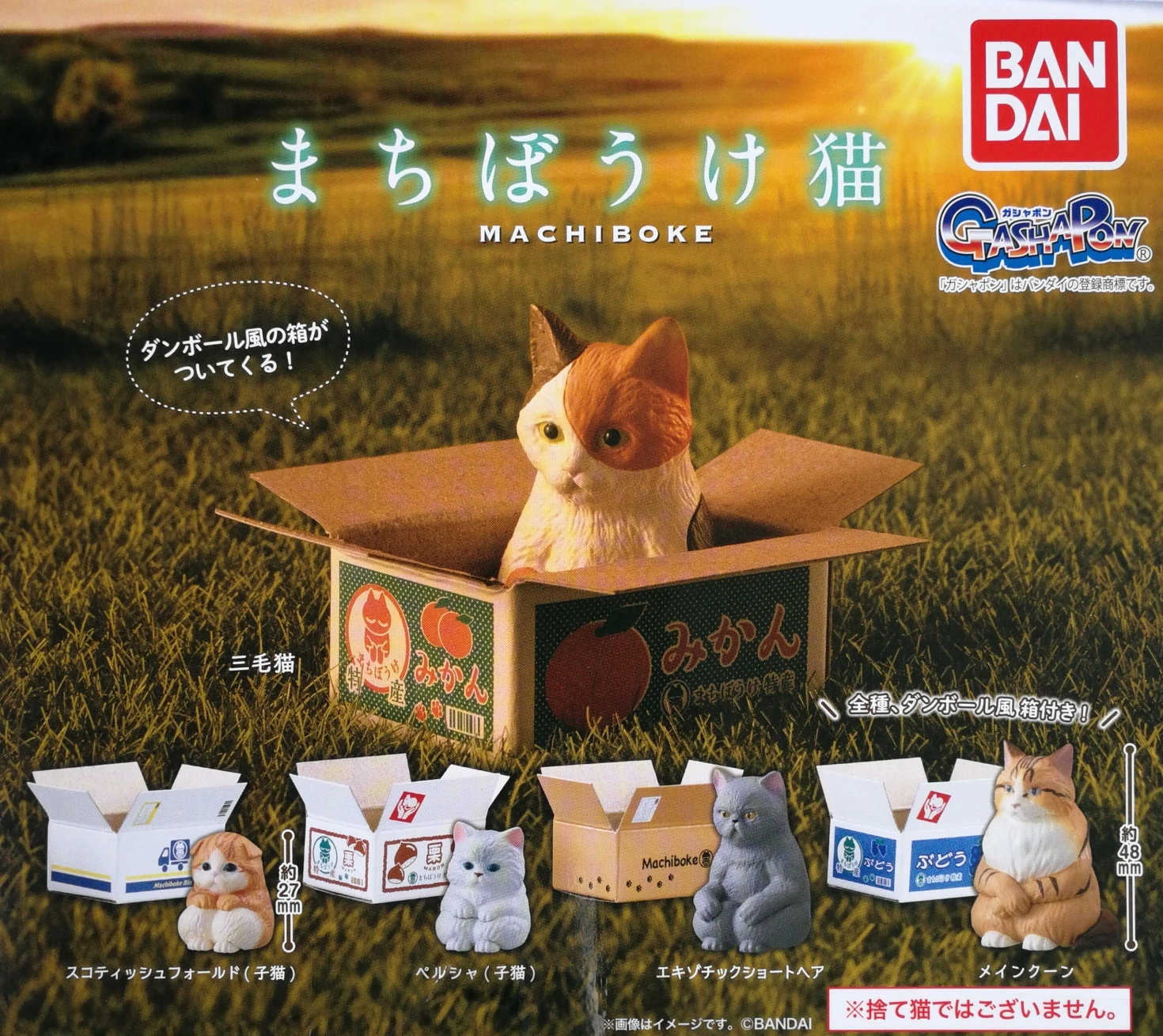 Japanese Bandai Genuine Gacha Scale Model The Animals Are Waiting Series Paper Box Cats Tabletop Decoration Action Figure Toys