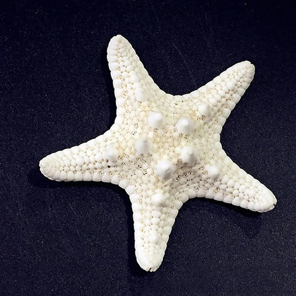 Natural Starfish Sea Star Decoration Handicrafts Girls Beach Starfish Jewellery DIY Handmade Craft Aquarium Nautical Ornaments