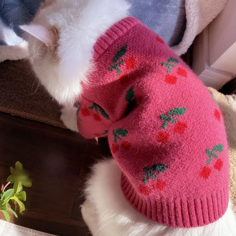 Pull Pour Chien Motif Cerises Vêtement Chaud En Tricot_voghion.com
