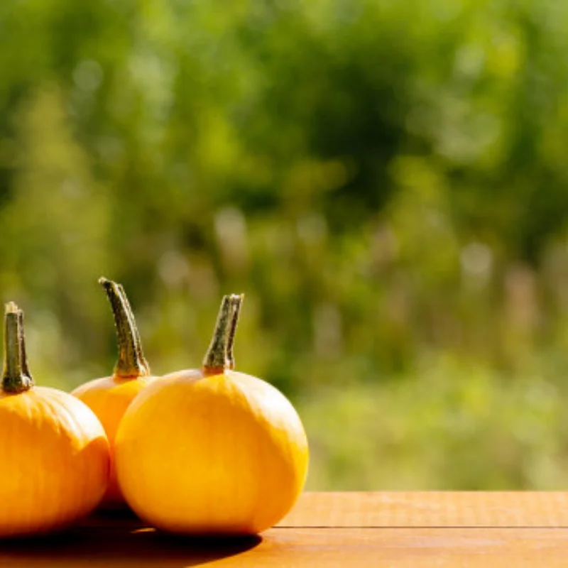 

2.6in Crawler Tires 132x58mm Rubber Tyres Gift Foam for 1/7 1/8 1/10 RC Car Ralaro Ryft Yikong Axial TRXS SCX10 Yeti Capra