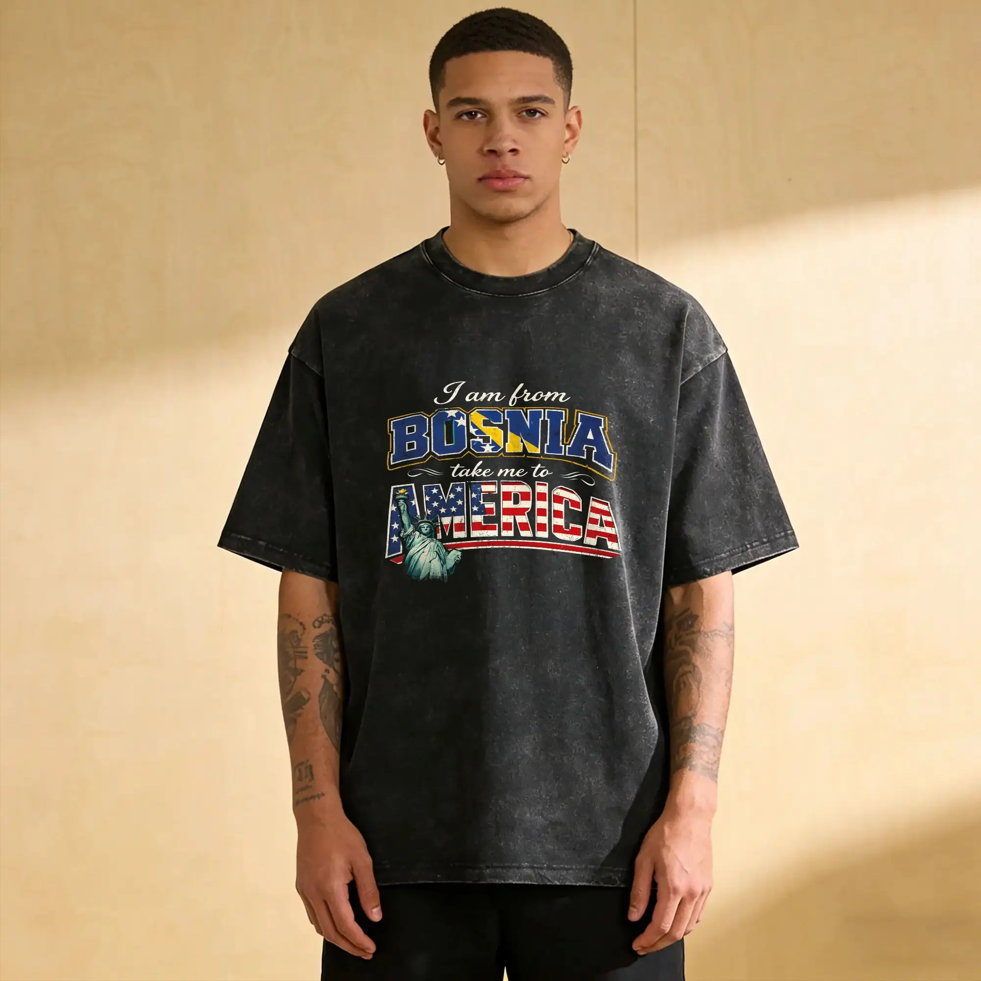 I Am From Bosnia Please Take Me To America T-Shirts Men  Casual Pure Cotton Tees Round Collar Short Sleeve Big Size Clothes