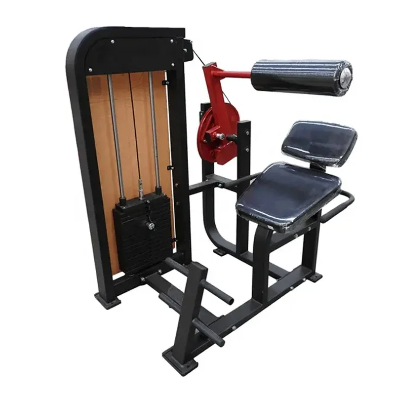 Professional Fitness Equipment Manufacturer Commercial Fitness Equipment Back Extension Machine For Gym Use