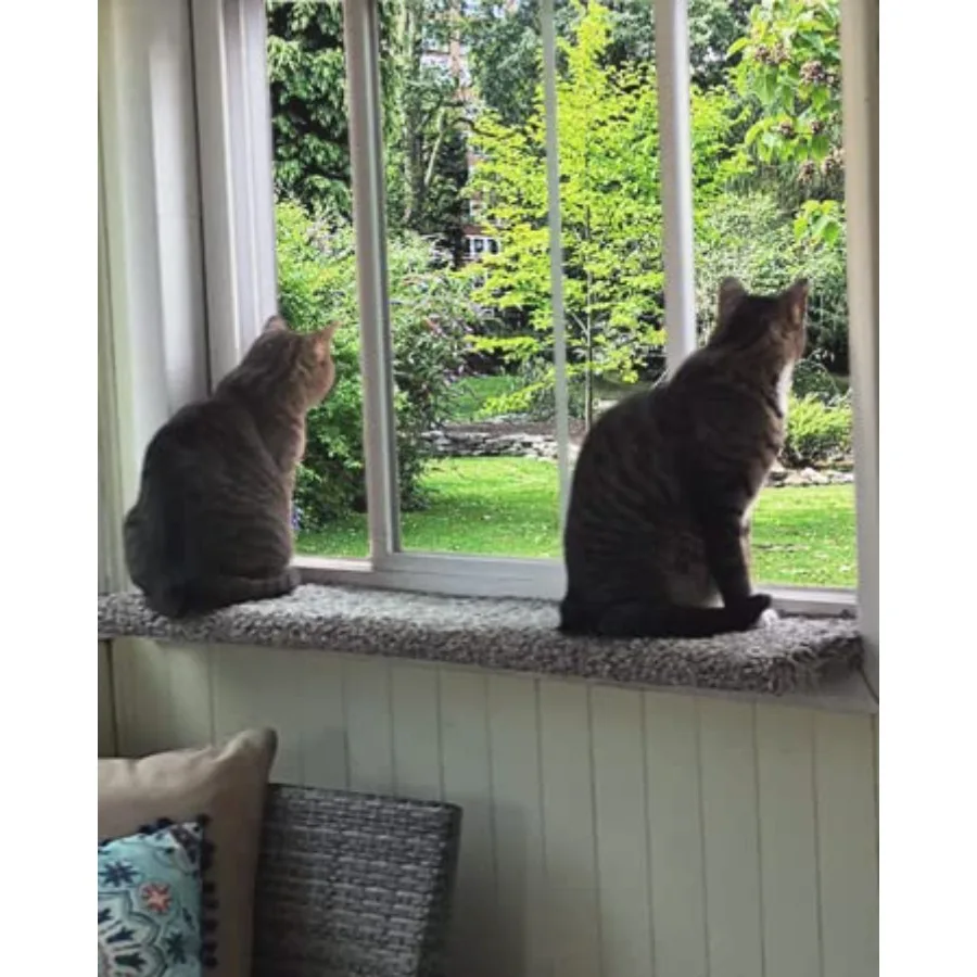

Cat Window Perch, 2026 year