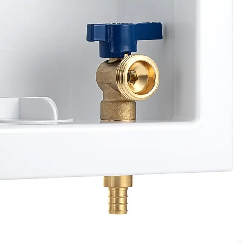 Q81C MONTAGEM SIMPLE