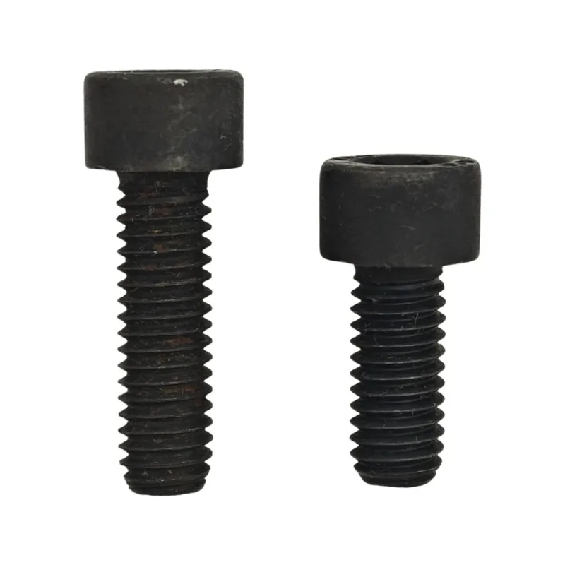 Muffler Screw Bolt …